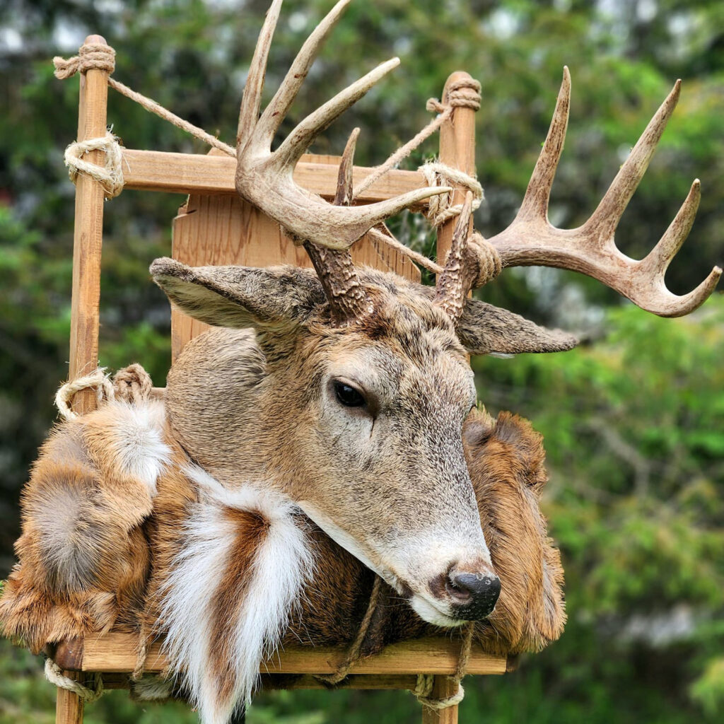 Northeast Wisconsin Pack Mount Taxidermist